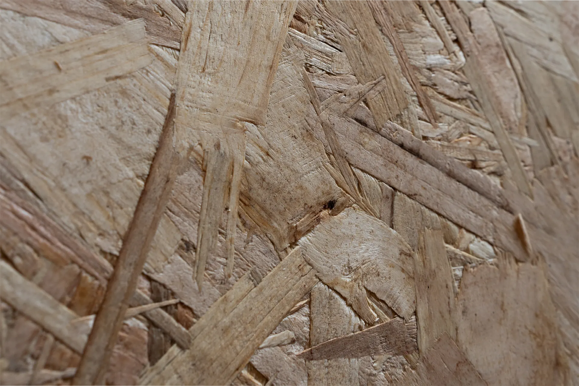 OSB-Platte – robuste Holzwerkstoffplatte in Nahaufnahme holzbau - Nahaufnahme einer OSB-Platte mit sichtbarer Holzstruktur und Spänen.